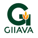 GIIAVA